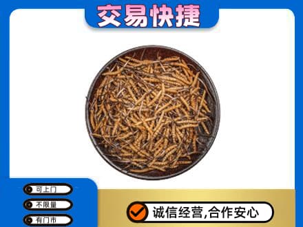 银川回收散虫草